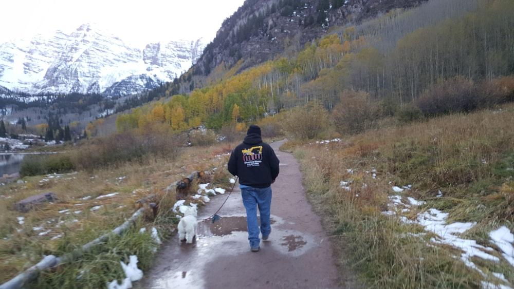Mountain Aspen
