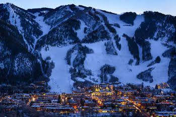 Mountain Aspen